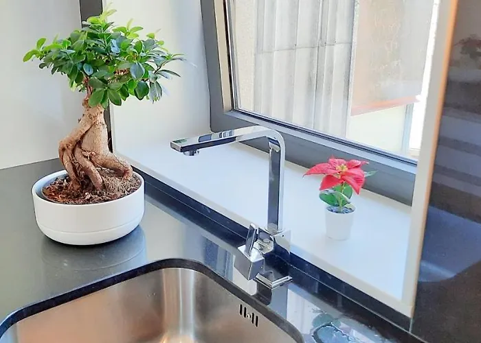 A Window To St. Helena Διαμέρισμα *